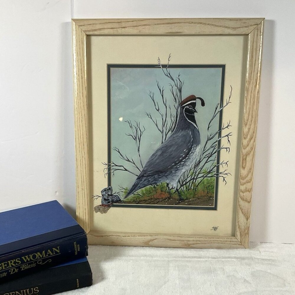 Gambel's Quail by Gerry R Stein 3-D SW‎ Art hand painted One Of A Kind Print